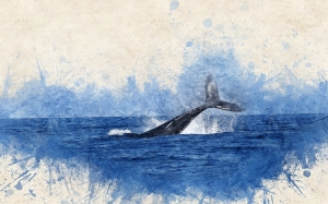 Blue Whale: no al tentativo di istigazione al suicidio